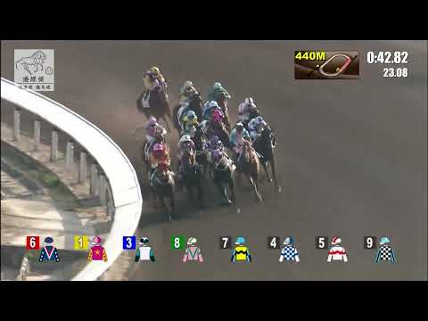 港經佬賽事重溫｜18-12-2021 田草日馬第六場賽事重溫 (266)｜激賞 Gunnison (A377)｜梁家俊 K C Leung｜徐雨石 Y S Tsui｜免費心水及賽馬貼士