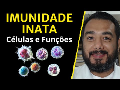 Quais são as células da imunidade inata e suas funções? Onde elas se encontram? Curso de Imunologia