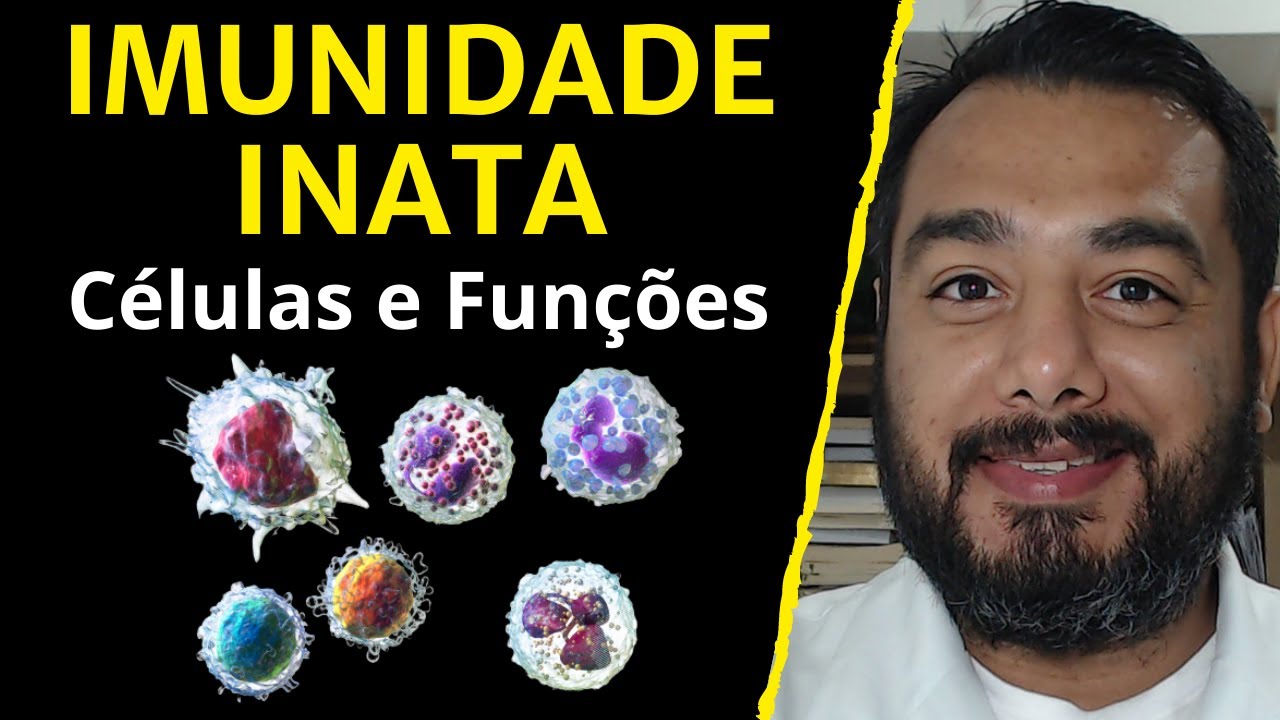 Quais são as células da imunidade inata e suas funções? Onde elas se encontram? Curso de Imunologia
