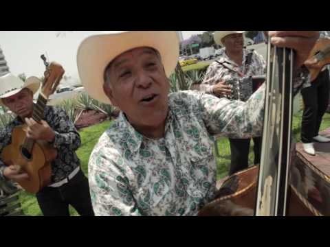 Grupo Tolerados -  Satisfaction ✔️