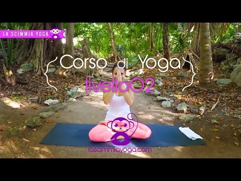 The Yoga Course - Level 02