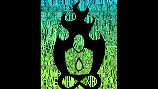 Chupacabra / Passafire -  Rhythm of the night