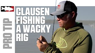 Wacky Rig Tips with Luke Clausen