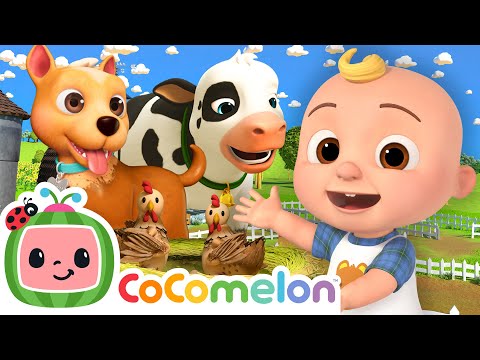 賓果有個農場！賓果唱老麥克唐納之歌 🐮🐄🐴🐖 | CoComelon 兒歌童謠 (Bingo Had a Farm! Bingo + Old Macdonald Song 🐮🐄🐴🐖| CoComelon Nursery Rhymes & Kids Songs)