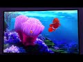 Finding Nemo Freeform Intro Saturday November 29th 2025