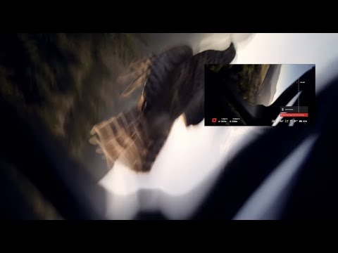 Eagle vs Drone - Eagle Attacking Dji AVATA