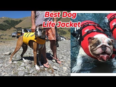 Top 5 Best Dog Life Jacket Vest Reviews for your dogs