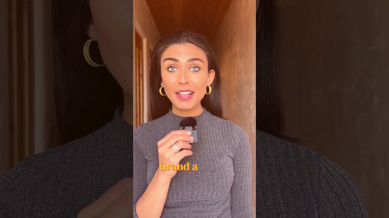 GDC 2024 / AI Constitution by POLINA PRIANYKOVA I Step-by-step academic work | Part 33