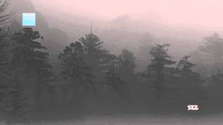 Fingers in the Noise - Lost in Freezing Fog (Brickman Remix) RZR004