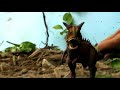 Disney S Dinosaur 2001 DVD Intro Toy Style