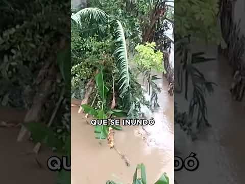 🚨 HURACÁN MELISSA DEVASTA CUBA: Caos Total y Millones Afectados | ÚLTIMA HORA #NoticiasETV