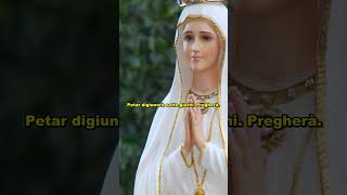 Cosa c'è nella busta sigillata di Padre Petar a Medjugorje #shorts