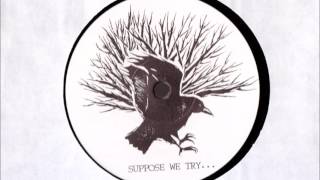 Poison Girls - 7 Year Scratch. SLF - inflammable material & more