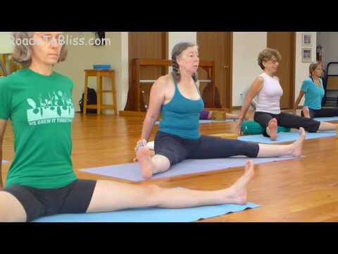 Upavista Konasana & Baddha Konasana   with Lois Steinberg, Certified Iyengar Yoga Teacher Advanced 2