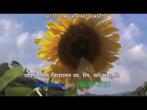 Najik xodthaiyo gaughar ma gudne le