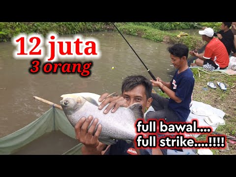 WHOLESALE FISHING..... THE FISH WILL NEVER END....!!!! #fishing #fishing