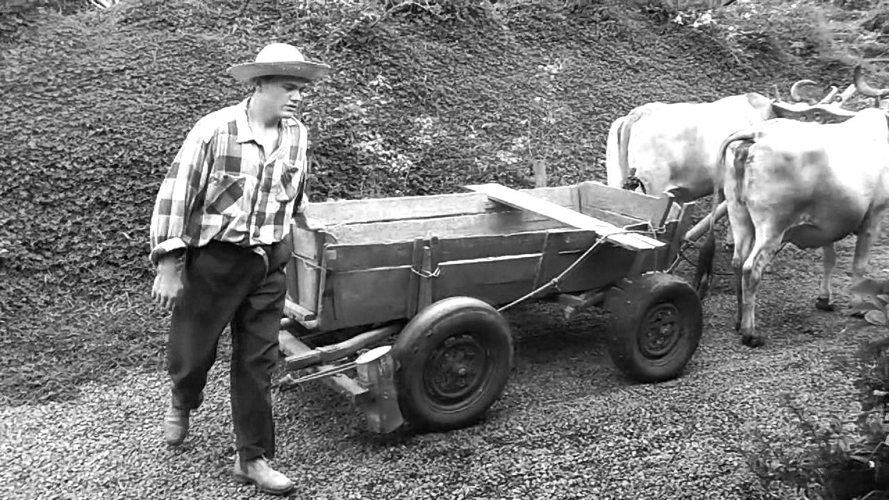 Jeca Tatu o Filme ''uma obra de Monteiro Lobato'' adaptada por um grupo de alunos da turma 302