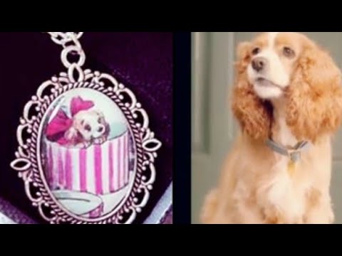 A #world #without #Fences & #Always #There (Lady and the Tramp)