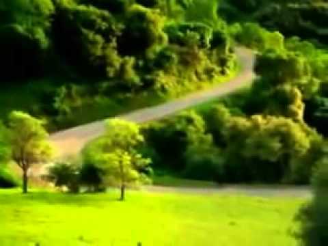 schrik je filmpje!!!!