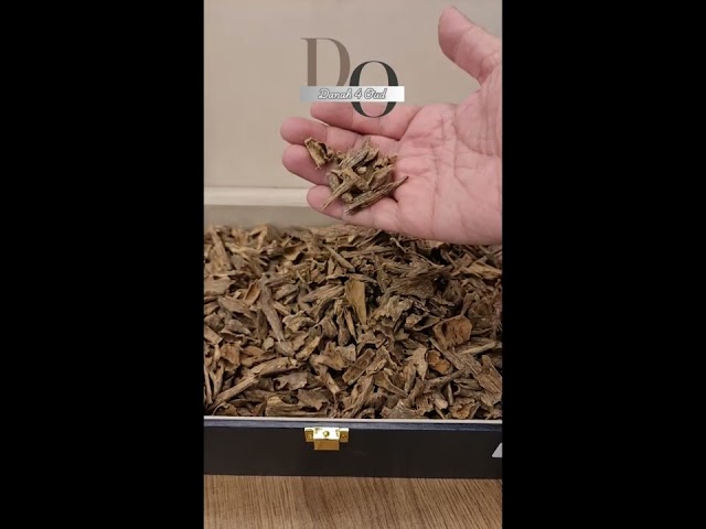 بولو موري دبل سوبر