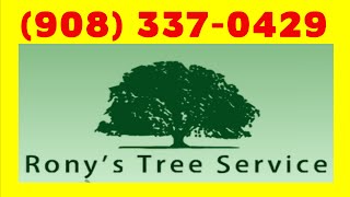 preview picture of video 'Tree Service Short Hills NJ - (908) 337-0429 - Best Tree Removal Company for Short Hills NJ 07078'