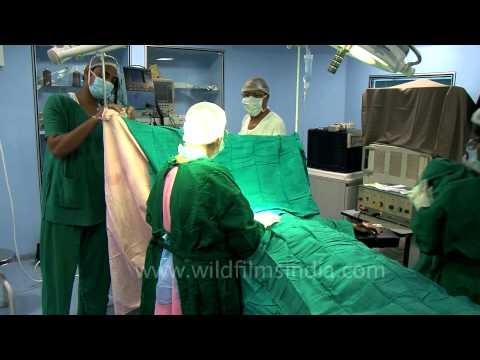 Cutting around the nipples before fibrocystic removal surgery