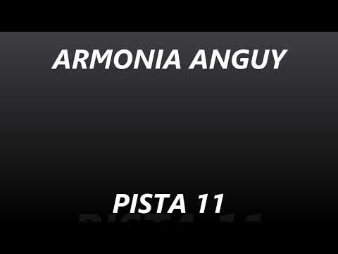 ARMONIA ANGUY - PISTA 11 - NUNCA PODRE OLVIDARTE