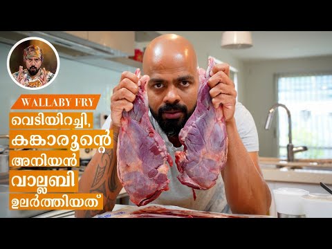 BEST WILD MEAT COOKING | HOW TO COOK WALLABY | GAME MEAT| BEST MEAT CURRY |MEEN VARUTHATHU|FISH FRY