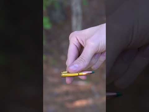 Sierra Ammo Now Available!