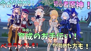 【初見歓迎】 交流会！皆と育成しるぞ～！【初心者原神生配信】