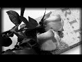 GTA 5 NF - PAID MY DUES |RNG| ll black roses ll Crew Exposed!!! R.I.P. ll Bexze ll & Il Elena lI GTA 5 NF - PAID MY DUES |RNG| ll black roses ll Crew Exposed!!! R.I.P. ll Bexze ll & Il Elena lI