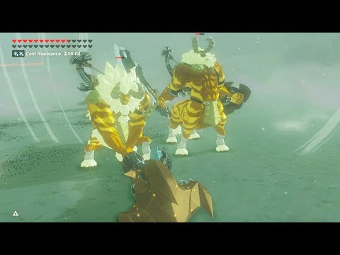 Breath of the Wild: Double Gold Lynel  vs Fierce Deity | Subscriber Request