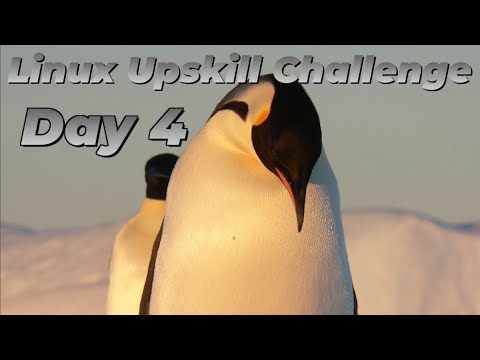 [Day 4] Install & Config files - LinuxUpskillChallenge