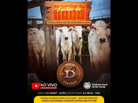 LEILAO DE GADO  02 - 12 - 2025 - Sindicato Rural de Rio Verde - Dêgo Leilões