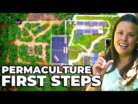 PERMACULTURE FIRST STEPS: Microclimate Mapping
