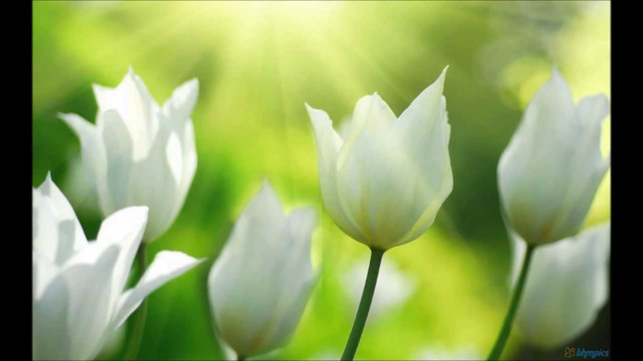 Na Jaane Aise Lyrics  | Saajan Mere Main Saajan Ki | Raj Babbar, Kaajal Kiran | Hemlata (Lata Bhatt), K. J. Yesudas (Kattassery Joseph Yesudas) | Ravindra Jain