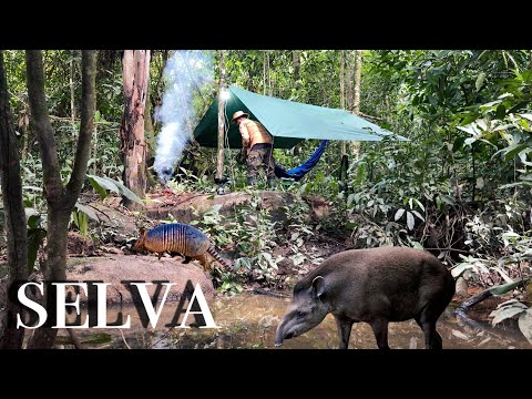 ENTREI em uma MATA Fechada FIZ um ACAMPAMENTO, passei a NOITE em meio aos ANIMAIS SELVAGENS Largados