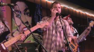 Honey Island Swamp Band -- Katie -- up close at Chan's