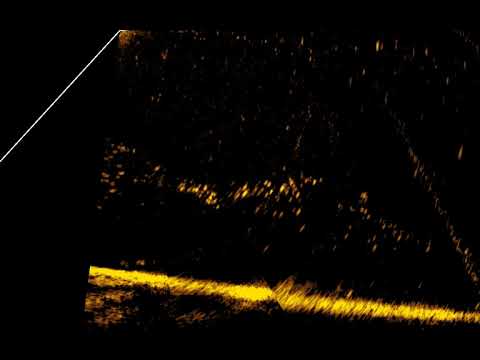 ActiveTarget Forward 2021 08 02 20