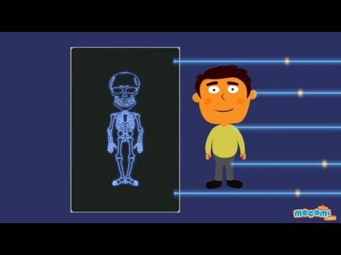 How do X-rays work? - Human Body Skeleton X-ray | Science for Kids | Educational Videos by Mocomi