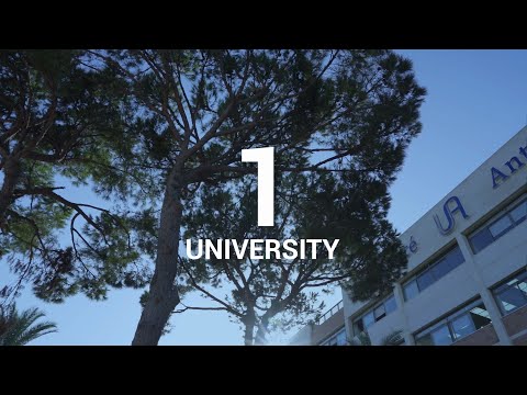 Antonine University (UA) in Numbers (2024)