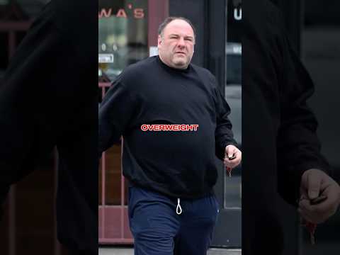 Joe Rogan Defends Tony Soprano