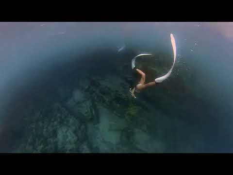 ウミガメとの出会い