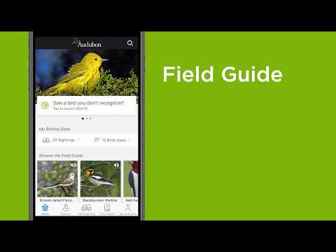 How to use the Audubon Bird Guide app