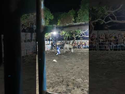 rodeio em Alto Parnaíba Maranhão