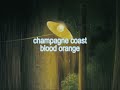 Champagne Coast Blood Orange Reverb Ending Instrumental Looped