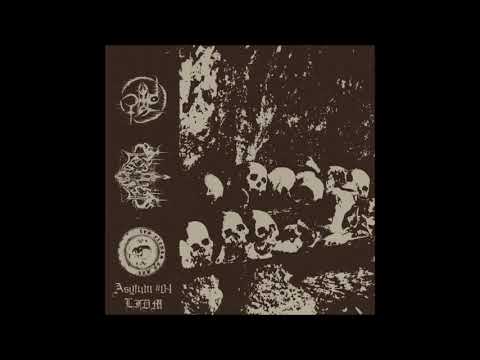 Mörmoo / Vzörbrëzv / Nözaakr (France) — Nefarious Morbid Trinity - 2020 split