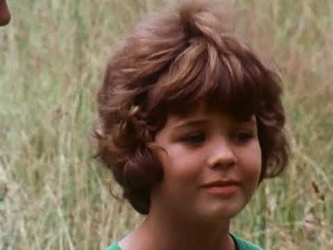 Kli-Kla-Klawitter Folge 37 - Geschichten vom Gewinnen und Verlieren