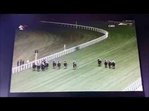 2014鑽禧錦標 2014 Diamond Jubilee Stakes G1