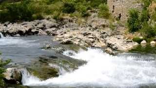 David  Charvet  ~  Should I Leave.